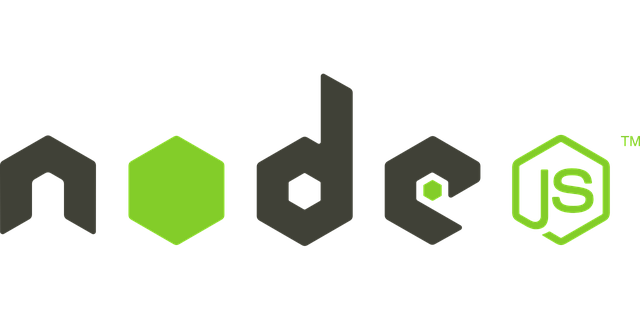 Node.js, a JavaScript framework for web applications, perfectly complemented by TypeScript.